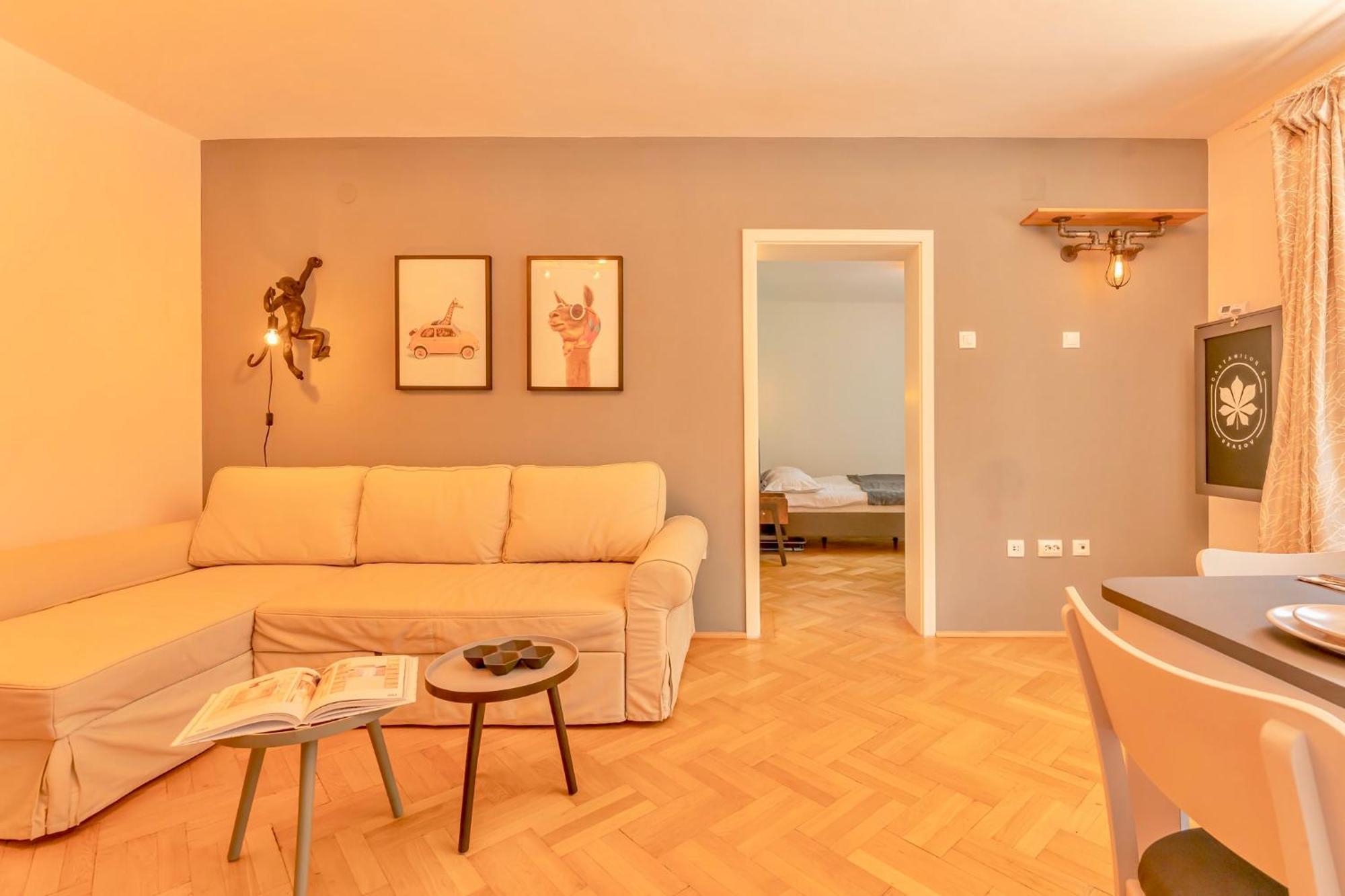 Castanilor 6 - Hip Industrial Apartment Close To City Centre Brasov Bagian luar foto